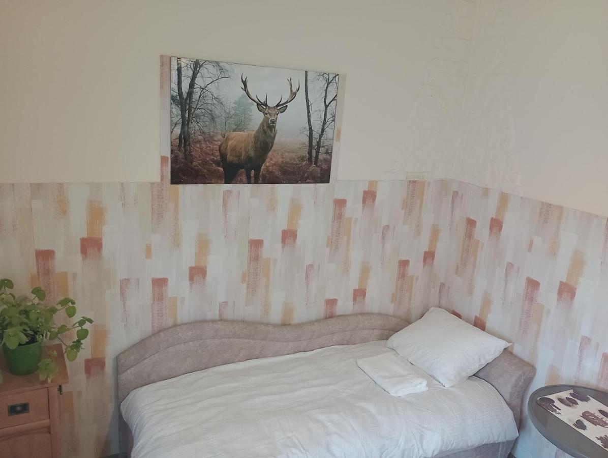 Kawalerka. Lägenhet Przemyśl Exteriör bild